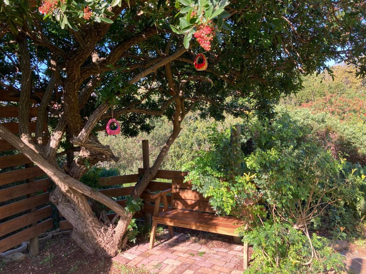 The Lookout Deck - Near Secrets Beach Hotel Jeffreys Bay Exterior photo